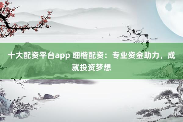 十大配资平台app 细楷配资：专业资金助力，成就投资梦想