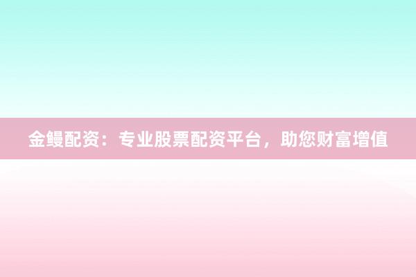 金鳗配资：专业股票配资平台，助您财富增值