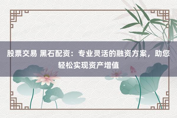股票交易 黑石配资：专业灵活的融资方案，助您轻松实现资产增值