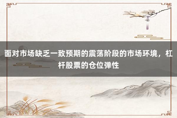 面对市场缺乏一致预期的震荡阶段的市场环境，杠杆股票的仓位弹性