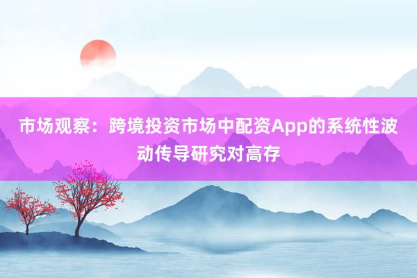 市场观察:跨境投资市场中配资App的系统性波动传导研究对高存