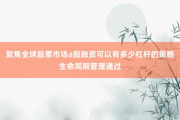 聚焦全球股票市场a股融资可以有多少杠杆的策略生命周期管理通过