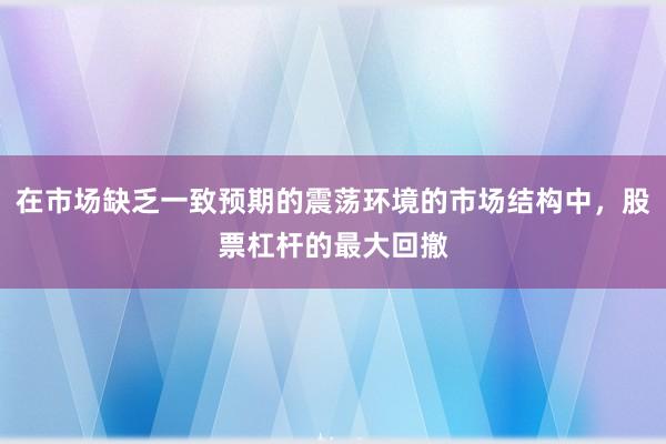在市场缺乏一致预期的震荡环境的市场结构中,股票杠杆的最大回撤