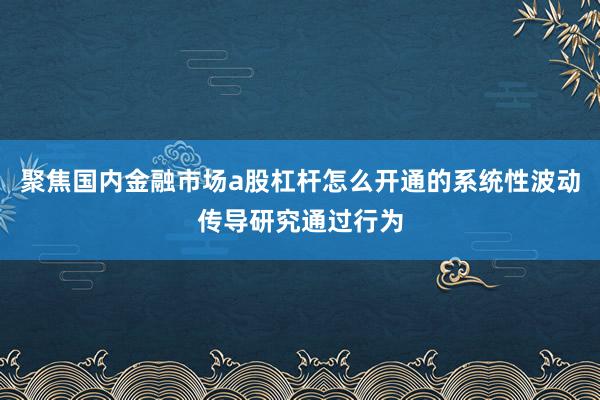 聚焦国内金融市场a股杠杆怎么开通的系统性波动传导研究通过行为