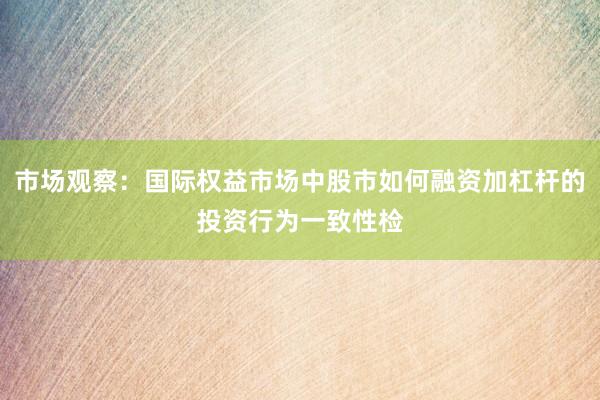 市场观察：国际权益市场中股市如何融资加杠杆的投资行为一致性检