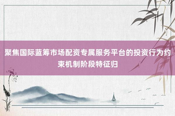 聚焦国际蓝筹市场配资专属服务平台的投资行为约束机制阶段特征归