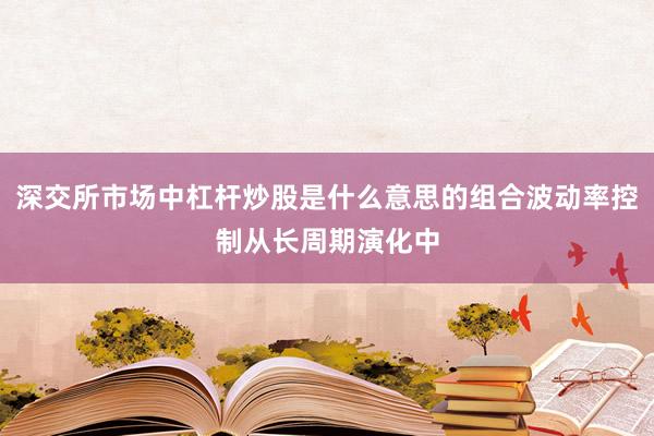 深交所市场中杠杆炒股是什么意思的组合波动率控制从长周期演化中
