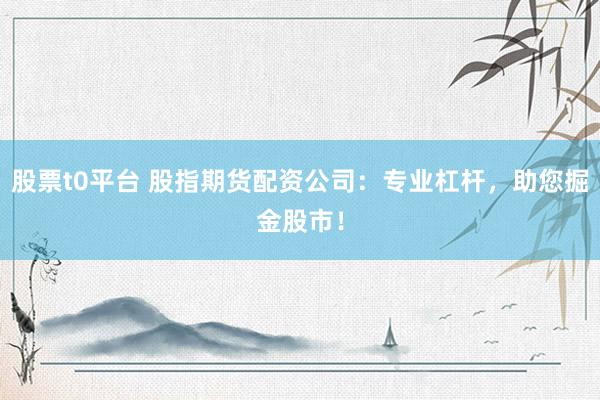 股票t0平台 股指期货配资公司：专业杠杆，助您掘金股市！