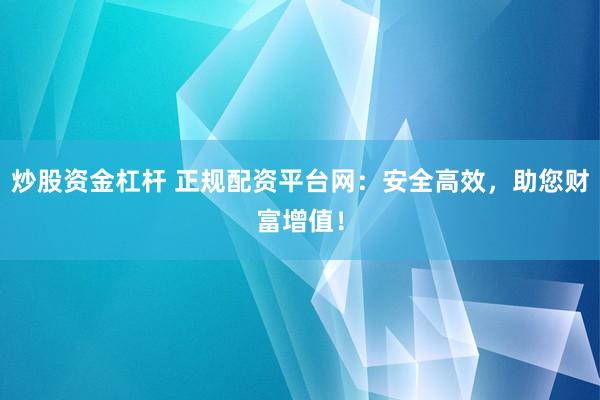 炒股资金杠杆 正规配资平台网：安全高效，助您财富增值！